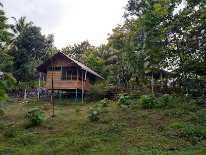 Jolly's Jungle Villa