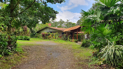 hospedaje paz entre volcanes