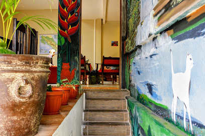 STRAY CAT HOSTEL