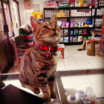 Hotel y Veterinaria Mascotitas