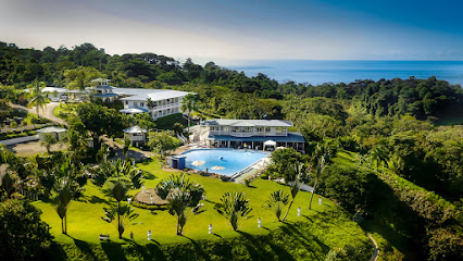 Cristal Ballena, Pejibaye