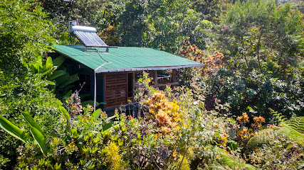Tiskita Jungle Lodge