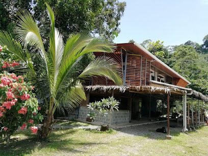 Orgánico Punta Riel