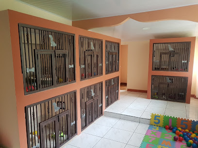 Hotel Canino Y Guardería San Pablo