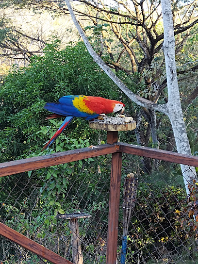 La Barca Lodge, Desmonte