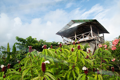 Hotel Restaurante Bella Vista Corcovado