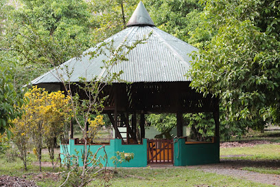 Dolphin Quest Costa Rica