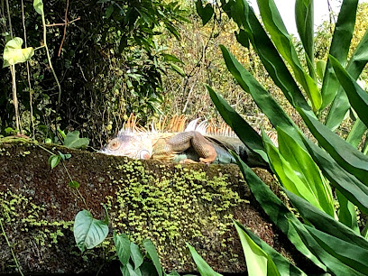 Cabinas Alamanda