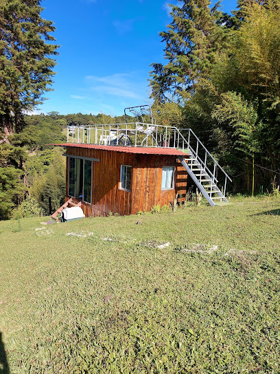 Treehouse Mountain View