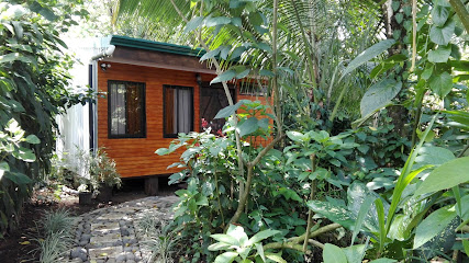 Salamandra Logde C R